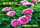 ֹ,д󷨵ӹףʦã26
