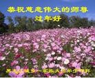 ֹ,󷨵ӹףʦ(22)
