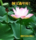 ֹ,ʡ󷨵ӹףʦã27
