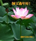 ֹ,ʡ󷨵ӹףʦ(27)
