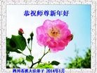 ֹ,Ĵ󷨵ӹףʦ(24)
