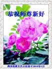ֹ,Ĵ󷨵ӹףʦ(24)
