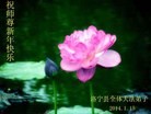 ֹ,ϴ󷨵ӹףʦ(25)
