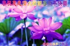 ֹ,Ϋ󷨵ӹףʦ֣21
