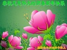 ֹ,Ϋ󷨵ӹףʦ֣21
