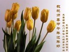 ֹ,󷨵ӹףʦ(22)

