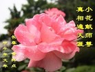ֹ,󷨵ӹףʦ(23)
