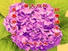 ֹ,󷨵ӹףʦ(23)
