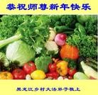 Published on 1/27/2014 ���ֹ�,���󷨵��ӹ�ףʦ�����ã�19����
