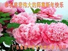 ֹ,㶫󷨵ӹףʦ֣38
