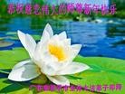 ֹ,㶫󷨵ӹףʦ֣38
