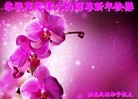 ֹ,ൺ󷨵ӹףʦ֣19
