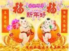 ֹ,ӱ󷨵ӹףʦ(32)
