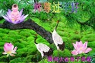 ֹ,󷨵ӹףʦ(22)
