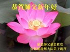 ֹ,ʡ󷨵ӹףʦ(19)
