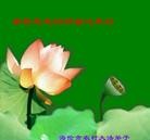 Published on 1/27/2014 ���ֹ�,���󷨵��ӹ�ףʦ�����ã�19����
