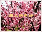 ֹ,󷨵ӹףʦ(20)
