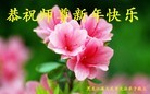 ֹ,󷨵ӹףʦ(20)
