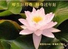 ֹ,ػʵ󷨵ӹףʦã19
