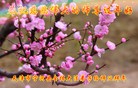 ֹ,󷨵ӹףʦ(22)
