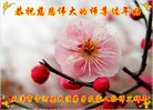 ֹ,󷨵ӹףʦ(22)
