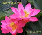 ֹ,ʡ󷨵ӹףʦ(19)
