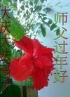 ֹ,󷨵ӹףʦ(20)
