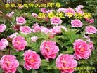 ֹ,󷨵ӹףʦ(25)
