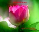 ֹ,󷨵ӹףʦ(21)

