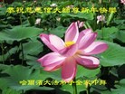 ֹ,󷨵ӹףʦ(20)
