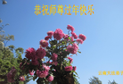 ֹ,ϴ󷨵ӹףʦ֣19
