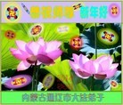ֹ,ɹŴ󷨵ӹףʦ֣22
