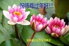ֹ,ʡ󷨵ӹףʦ(19)
