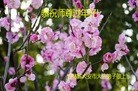ֹ,ʡ󷨵ӹףʦ(19)
