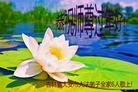 ֹ,ʡ󷨵ӹףʦ(19)
