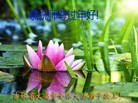 ֹ,ʡ󷨵ӹףʦ(19)
