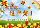 法轮功,辽宁大法弟子恭祝师尊新年快乐(21条)
