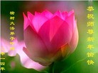ֹ,󷨵ӹףʦ(21)

