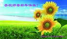 法轮功,保定大法弟子恭祝师尊新年快乐（24条）
