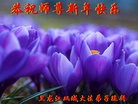 ֹ,󷨵ӹףʦ(19)
