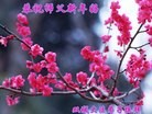 ֹ,󷨵ӹףʦ(19)
