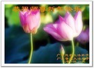 ֹ,㶫󷨵ӹףʦ(26)
