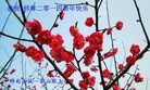 ֹ,д󷨵ӹףʦã20
