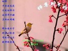 ֹ,ȷ󷨵ӹףʦ֣30
