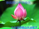 ֹ,󷨵ӹףʦ(24)
