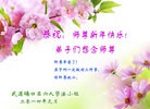 ֹ,人󷨵ӹףʦ֣23
