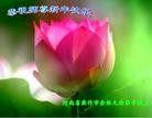ֹ,ϴ󷨵ӹףʦ(25)
