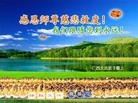 法轮功,广西大法弟子恭祝师尊新年好（16条）
