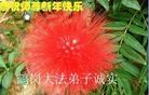 ֹ,󷨵ӹףʦ(24)

