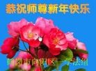 ֹ,󷨵ӹףʦ(24)
